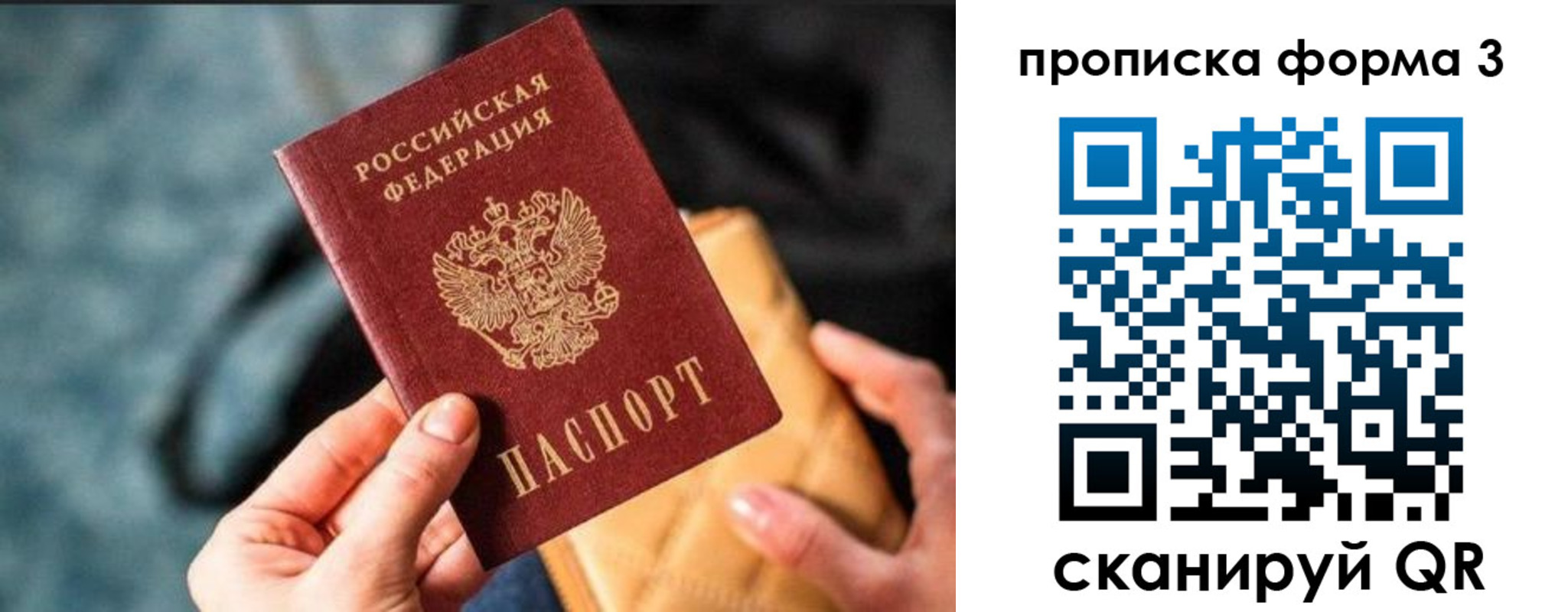 прописка гарантия в Дальнегорске